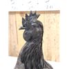 Image 5 : Ayam Cemani Black Rooster Chicken Full Body Bird Taxidermy