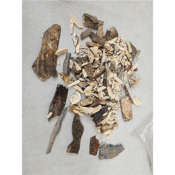 Apparently 2 Lbs Of Partially Fossilized Woolly Mammoth Tusk Fragments