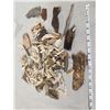 Image 2 : Apparently 2 Lbs Of Partially Fossilized Woolly Mammoth Tusk Fragments