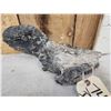Image 3 : Giant Sloth Cervical Vertebrae Fossilized Fossil