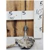 Image 4 : Giant Sloth Cervical Vertebrae Fossilized Fossil