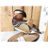 Image 2 : Mandarin Duck Full Body Bird Taxidermy