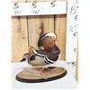 Image 4 : Mandarin Duck Full Body Bird Taxidermy