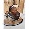 Image 5 : Mandarin Duck Full Body Bird Taxidermy