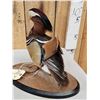 Image 6 : Mandarin Duck Full Body Bird Taxidermy