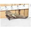 Image 5 : Bison Antiquus Horn Fossilized Fossil