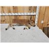 Image 7 : American Bison Buffalo Calf Full Body Taxidermy Mount