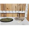Image 12 : Indian Spitting Cobra Full Body Snake Taxidermy