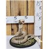 Image 2 : Indian Spitting Cobra Full Body Snake Taxidermy
