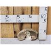 Image 1 : Ancient Woolly Mammoth Cervical Vertebrae Fossilized Fossil