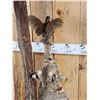 Image 11 : Bobcat Leaping For A Quail Floor Lamp Taxidermy