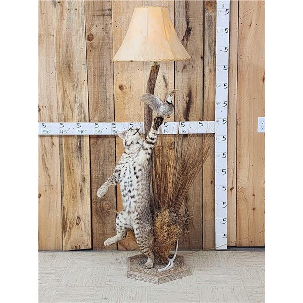 Bobcat Leaping For A Quail Floor Lamp Taxidermy