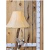 Image 2 : Bobcat Leaping For A Quail Floor Lamp Taxidermy