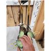 Image 4 : Purple Heron Full Body Bird Taxidermy