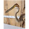 Image 6 : Purple Heron Full Body Bird Taxidermy