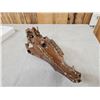 Image 4 : Ancient Historic Horse Skull
