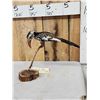 Image 4 : African Red Billed Hornbill Full Body Bird Taxidermy
