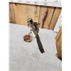 Image 6 : African Red Billed Hornbill Full Body Bird Taxidermy