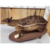 Image 5 : RARE Low Land Paca Full Body Taxidermy Mount