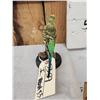 Image 3 : Green Budgie Parakeet Full Body Bird Taxidermy