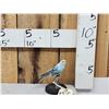 Image 1 : Blue Budgie Parakeet Full Body Bird Taxidermy