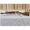 Image 1 : Henry Golden Boy Model H004 .22 Lever Action Rifle