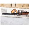 Image 2 : Henry Golden Boy Model H004 .22 Lever Action Rifle