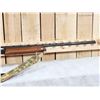 Image 7 : Remington Model 1100 12ga Semi Auto Shotgun