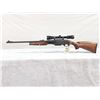 Image 1 : Remington Model 7600 .243 Pump Action Rifle
