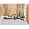Image 1 : Bear Trap