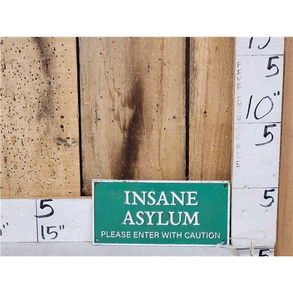 Insane Asylum Cast Iron Sign