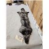 Image 2 : Silver Ranch Fox Soft Tanned Fur