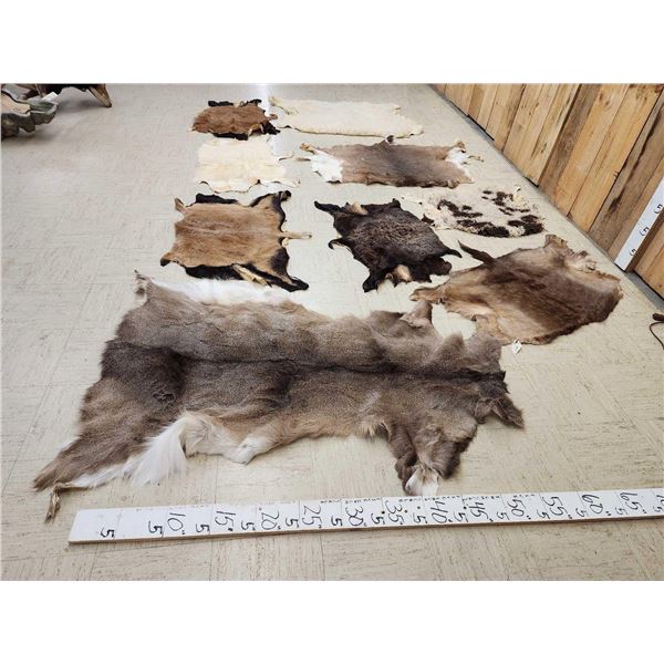 Sheep , Goat , & Deer Soft Tanned Skins Taxidermy
