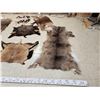 Image 2 : Sheep , Goat , & Deer Soft Tanned Skins Taxidermy