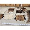 Image 4 : Sheep , Goat , & Deer Soft Tanned Skins Taxidermy