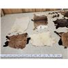 Image 5 : Sheep , Goat , & Deer Soft Tanned Skins Taxidermy