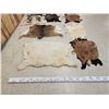 Image 6 : Sheep , Goat , & Deer Soft Tanned Skins Taxidermy