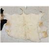 Image 8 : Sheep , Goat , & Deer Soft Tanned Skins Taxidermy