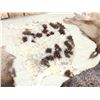 Image 9 : Sheep , Goat , & Deer Soft Tanned Skins Taxidermy