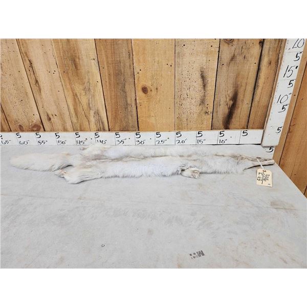 Blue Ranch Fox Soft Tanned Fur Taxidermy