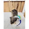 Image 3 : Squirrel On A Stripper Pole Taxidermy