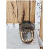 Image 2 : XL Alligator Head Taxidermy