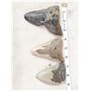 Image 1 : 3 Fossilized Megalodon Shark Teeth