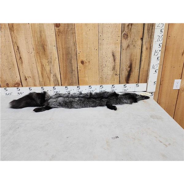 Silver Ranch Fox Soft Tanned Fur Taxidermy