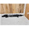 Image 1 : Silver Ranch Fox Soft Tanned Fur Taxidermy