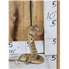 Image 1 : Diamondback Rattlesnake Full Body Taxidermy Mount