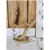 Image 3 : Diamondback Rattlesnake Full Body Taxidermy Mount