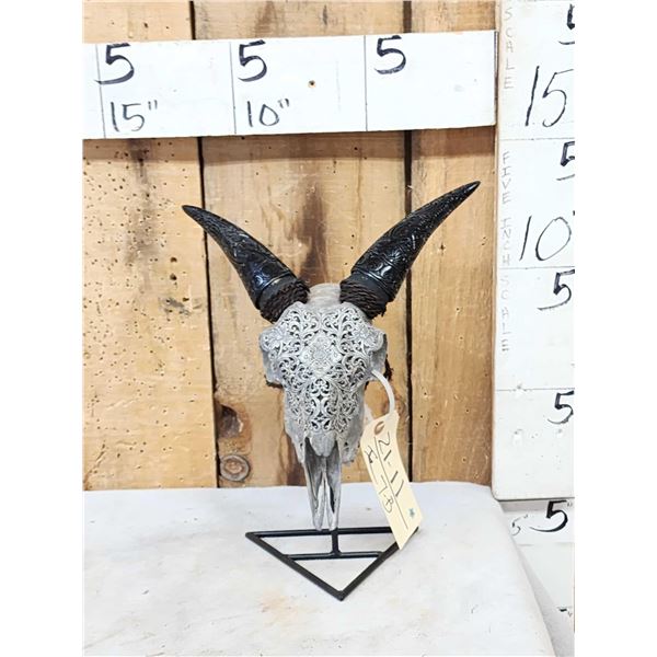 Hand Carved Goat Skull Taxidermy