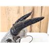 Image 6 : Hand Carved Goat Skull Taxidermy