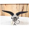 Image 7 : Hand Carved Goat Skull Taxidermy